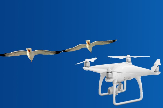 immaginacondrone